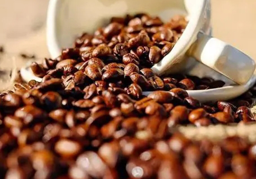 咖啡豆厂家